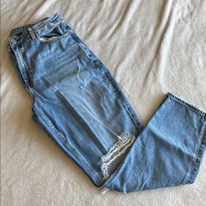 American Eagle Distressed Mom Jeans